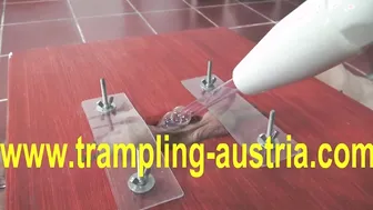 Get ready for a wild ride as a violet wand-wielding mistress dominates and humiliates your sub